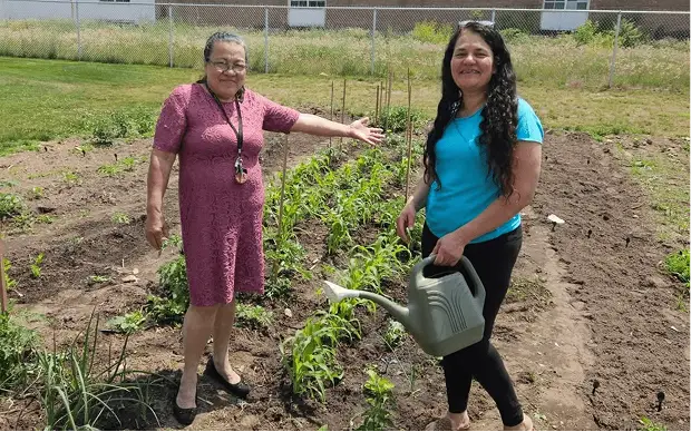 Team members tending herbs and vegetables in the Butterball Farms community garden