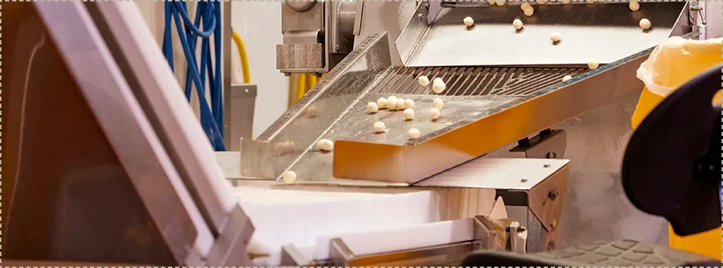Small butter balls moving down a metal chute on a production line